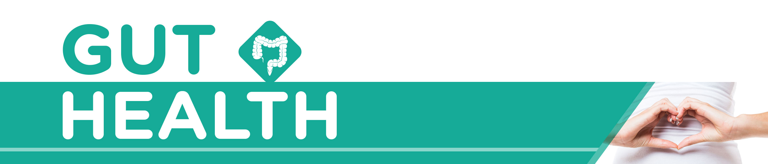 Gut Health Gut Health